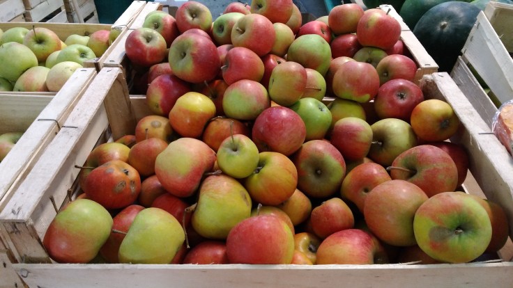 P_20180916_083745_vHDR_Auto